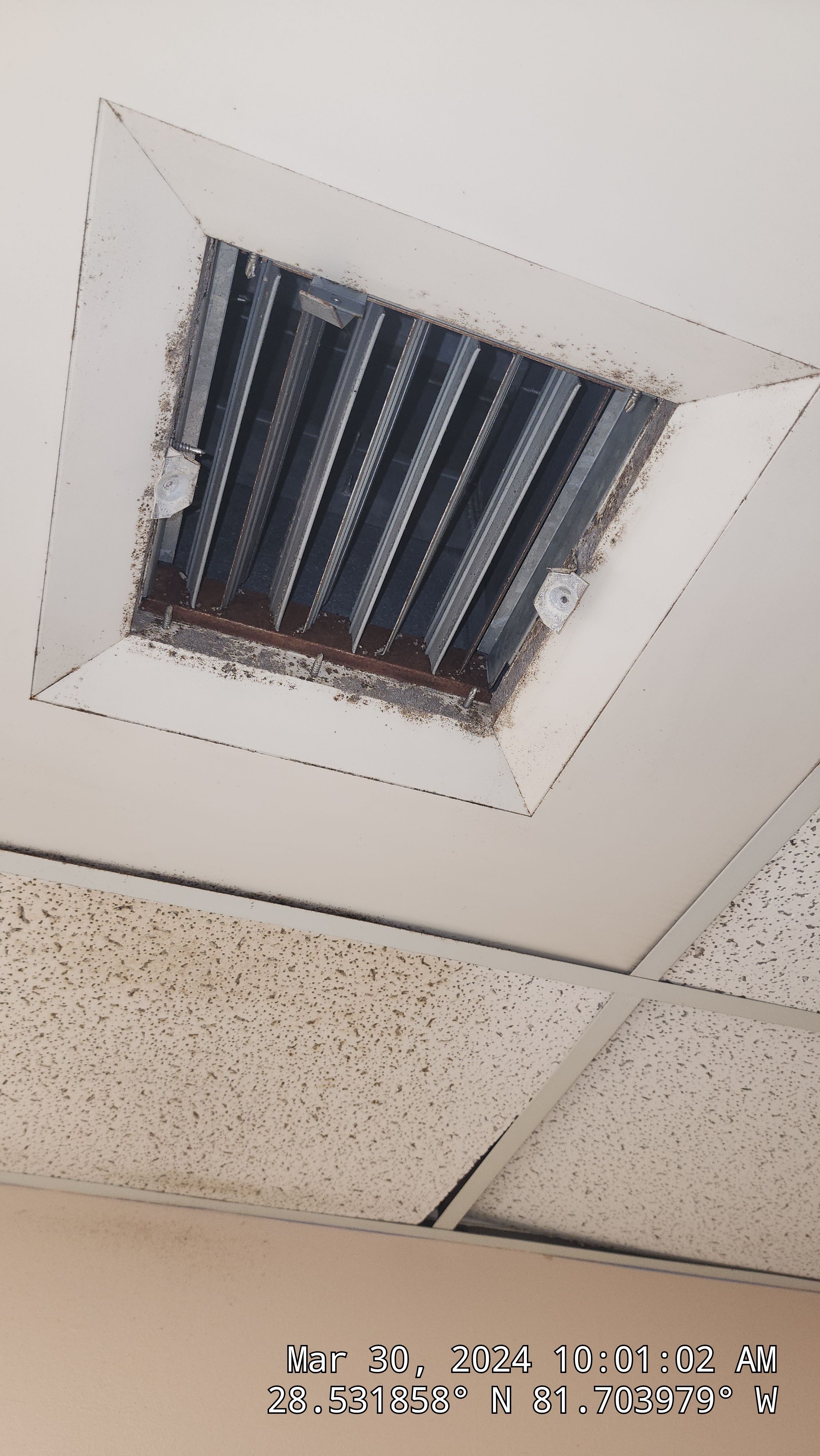 Commercial Air Duct Cleaning in Orlando by Hygienic Air, Inc