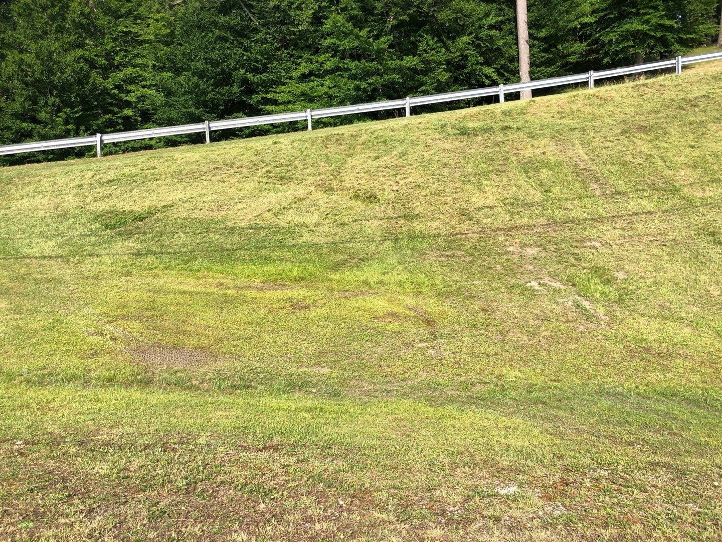 Mowing the impossible  by GrassBusters, Inc.