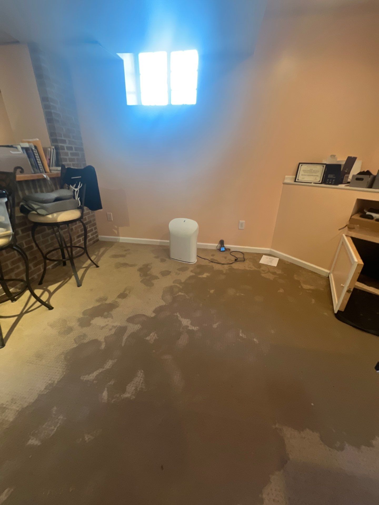 Project in Ann Arbor by EzDry Water Mitigation & Property Restoration