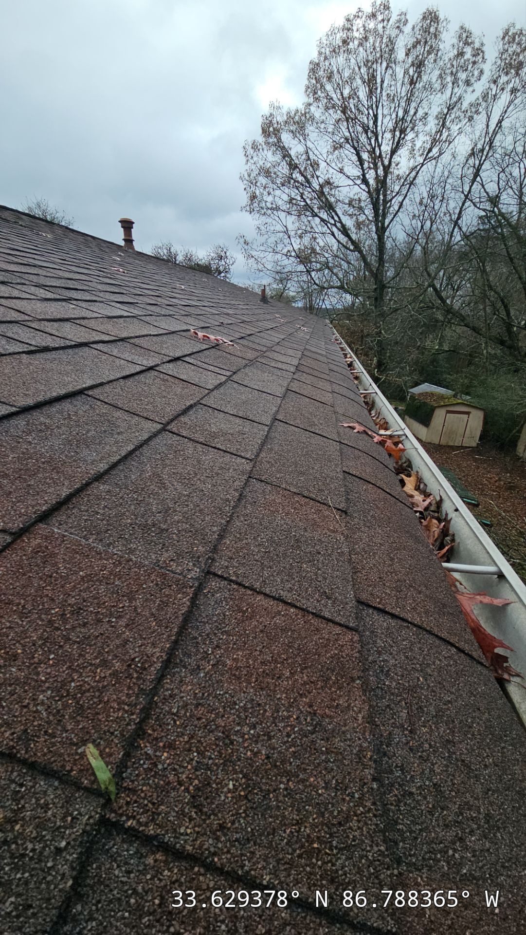Roof Replacement (Barkwood) and Tree Removal in Birmingham  by The Roofing Dudes