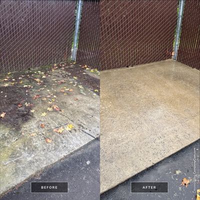 Animal Shelter Deep Clean: Roof Restoration & Concrete Surfaces