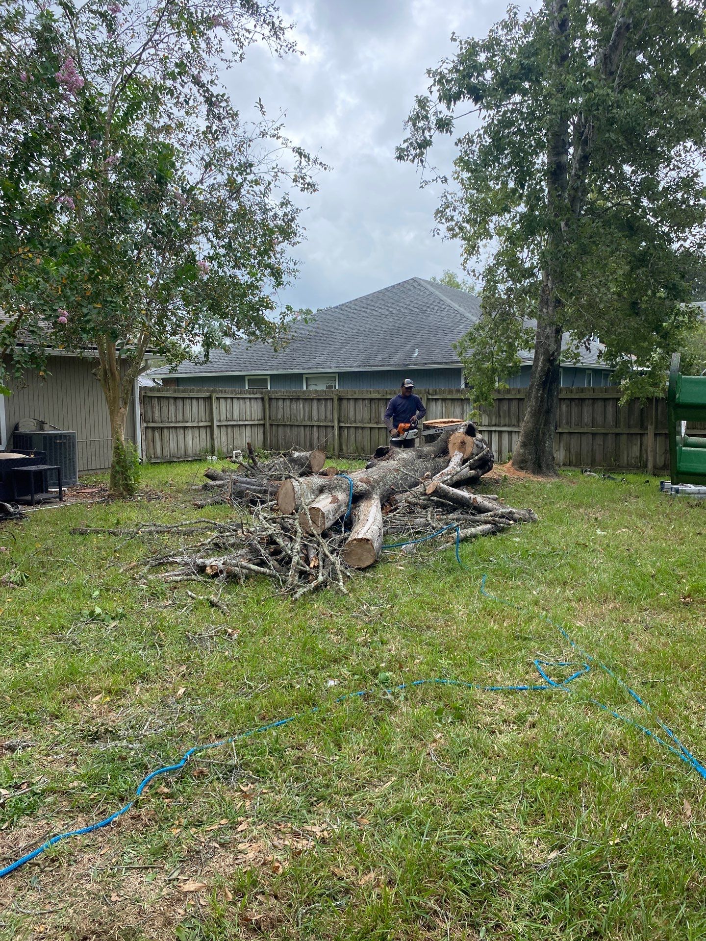 Tree Removal | Residential by ProGreen Services
