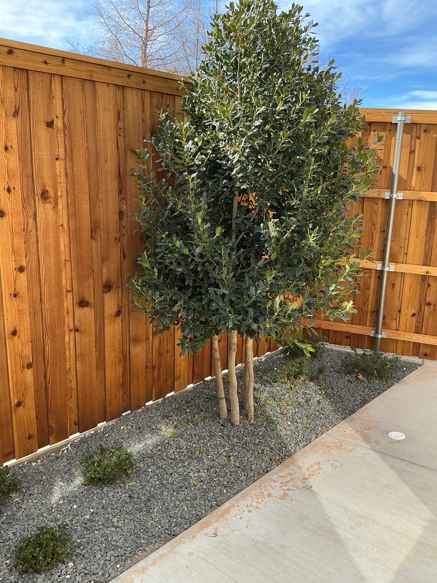 Landscape-Patel by Spanky’s Landscape