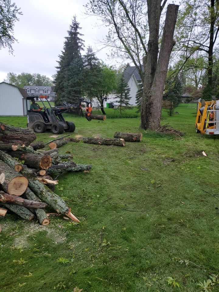 Tree Removal using Tree Removal by Mike Jones & Sons Tree Service LLC 