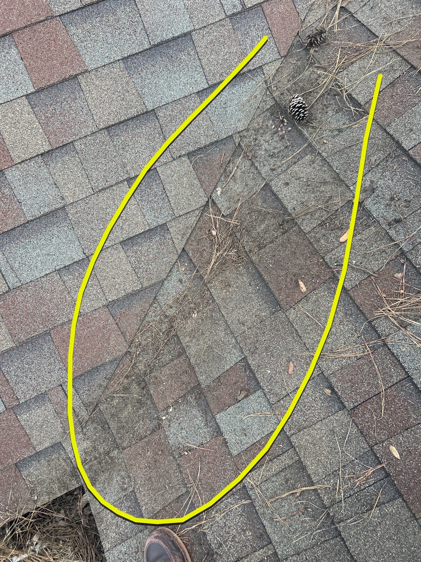 Roof Repair Spring by Roof Repair Company