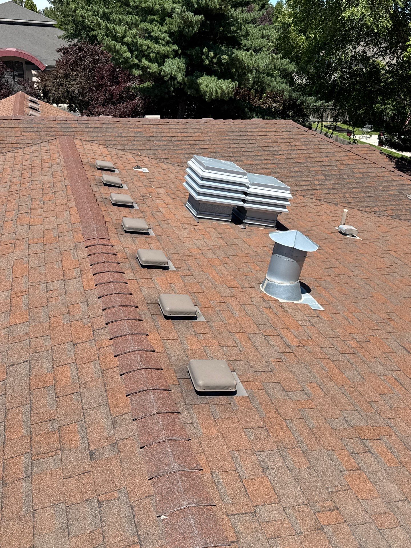 Boise Commercial Roof Replacement with Brown Architectural Shingles by Olive Roofing
