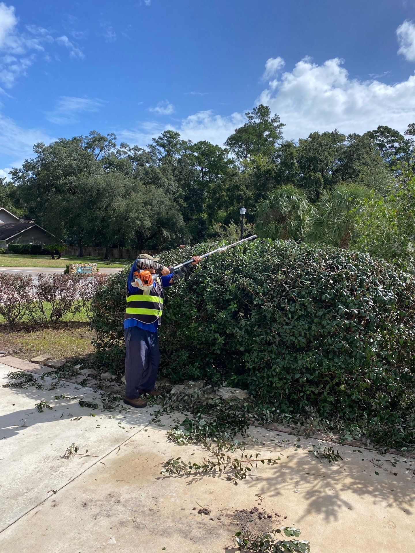 Deerwood Residence | Extreme Clean Up by ProGreen Services