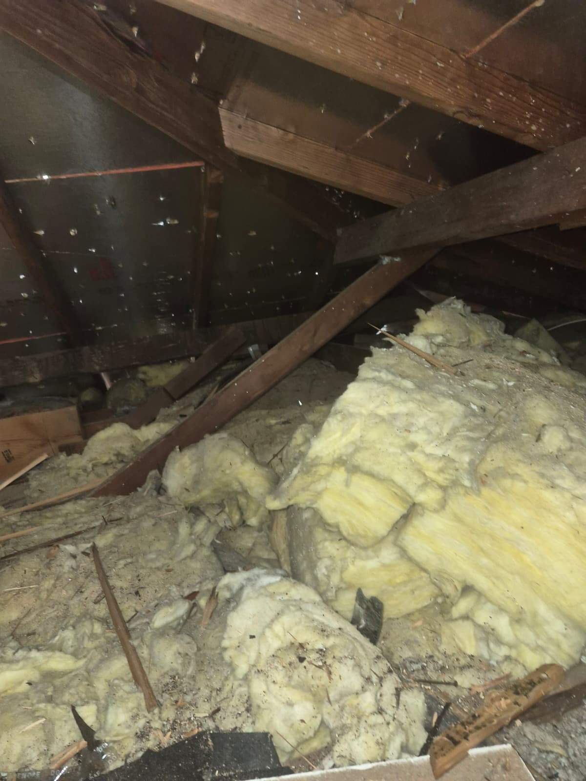 Project in Anaheim by Advanced Attic Solutions