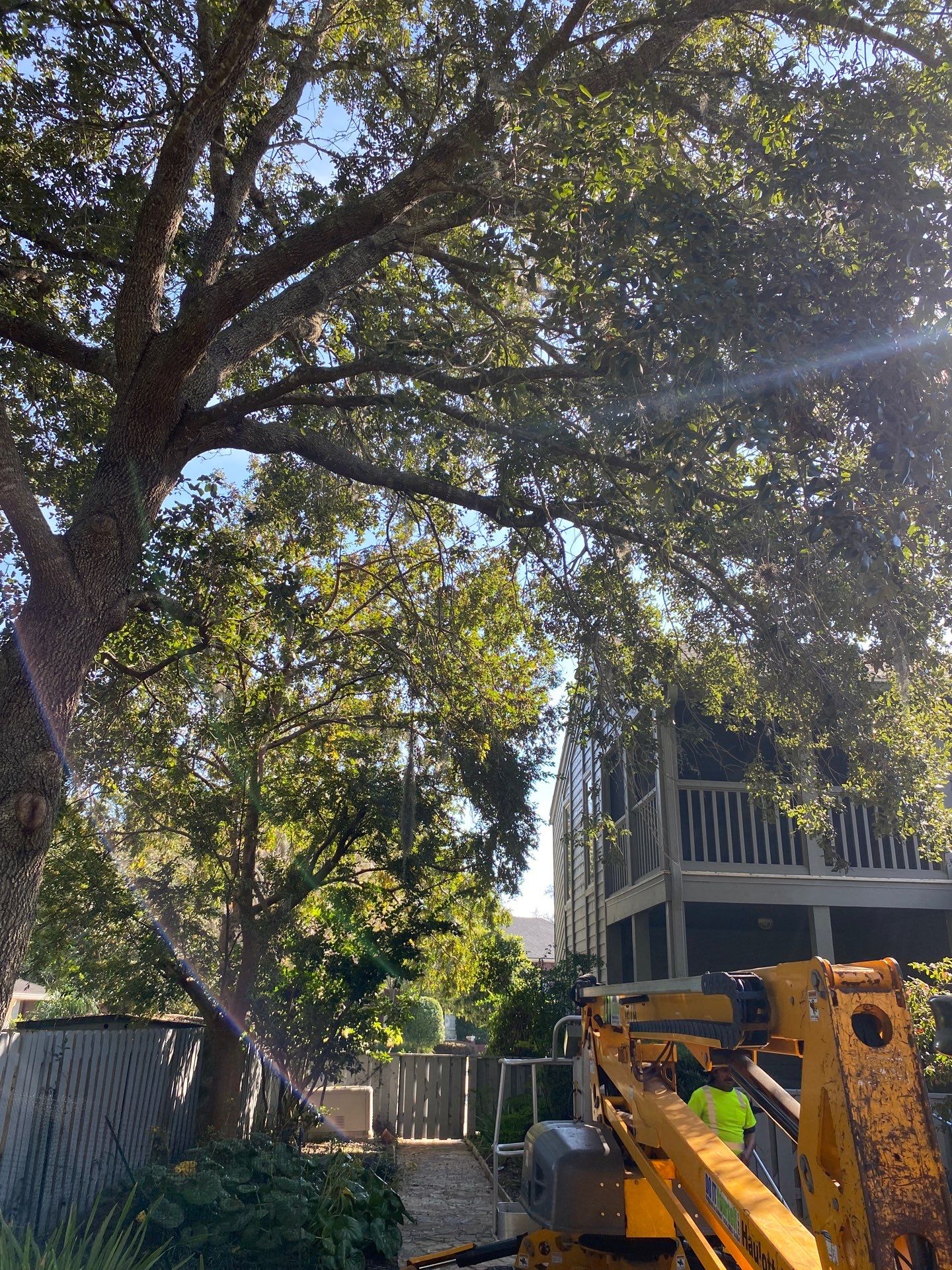 Deerwood Resident | Tree Trimming & Removal by ProGreen Services