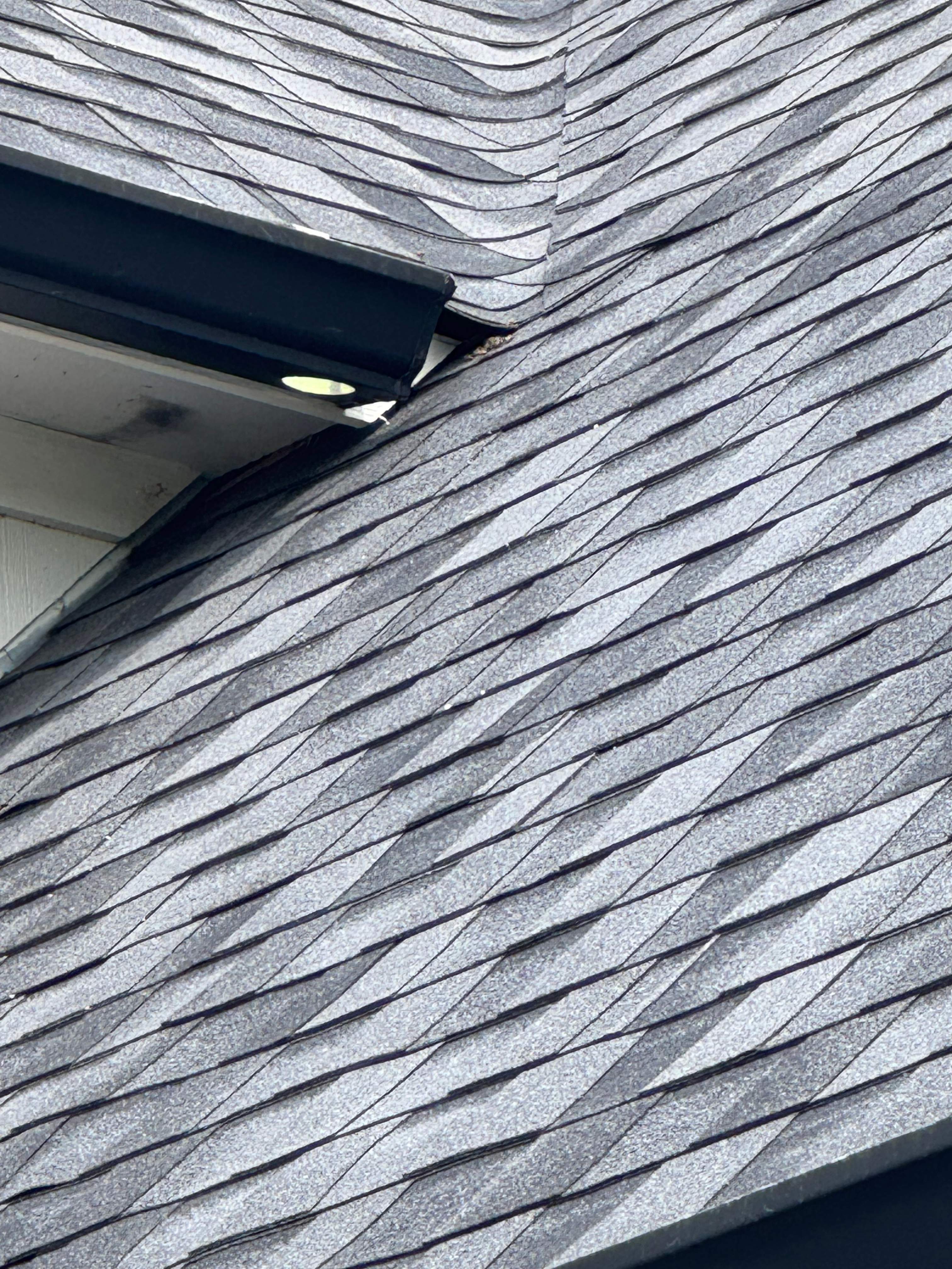 Hide-and-Seek by Rockwall Honey Bee Company