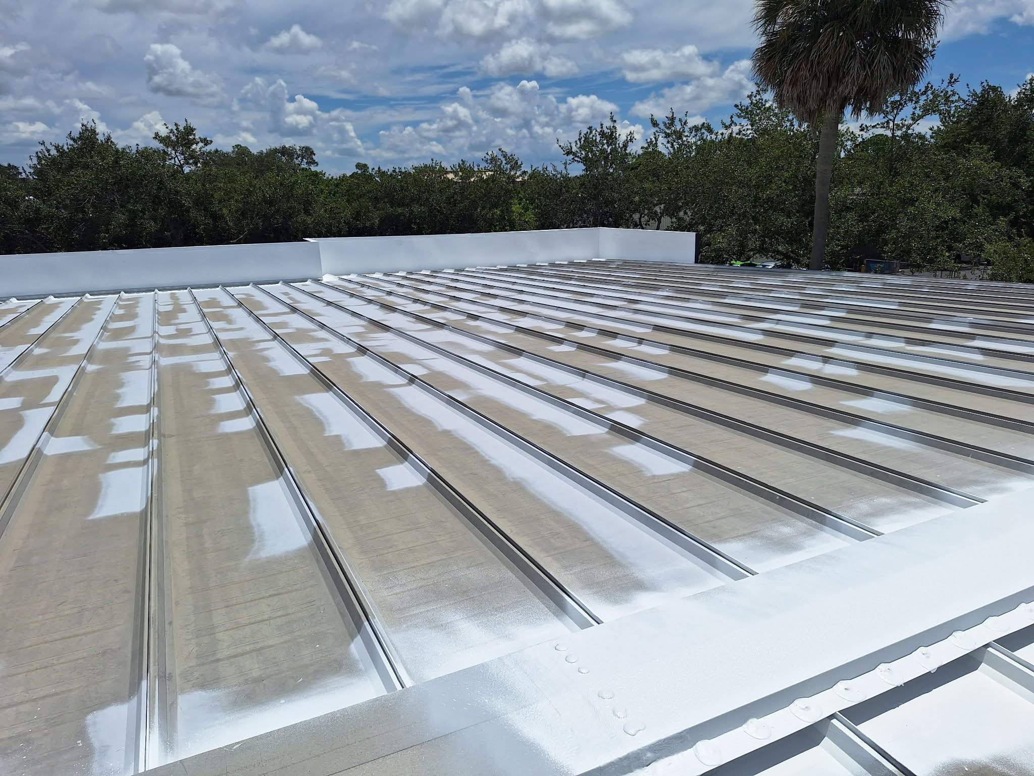 17,576 Sq Ft - Standing Seam Coated in Naples, FL by Southern Roof Solutions