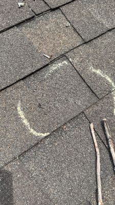 Turtle Shell gutter protection installation in Naperville, IL 60563, photograph 26