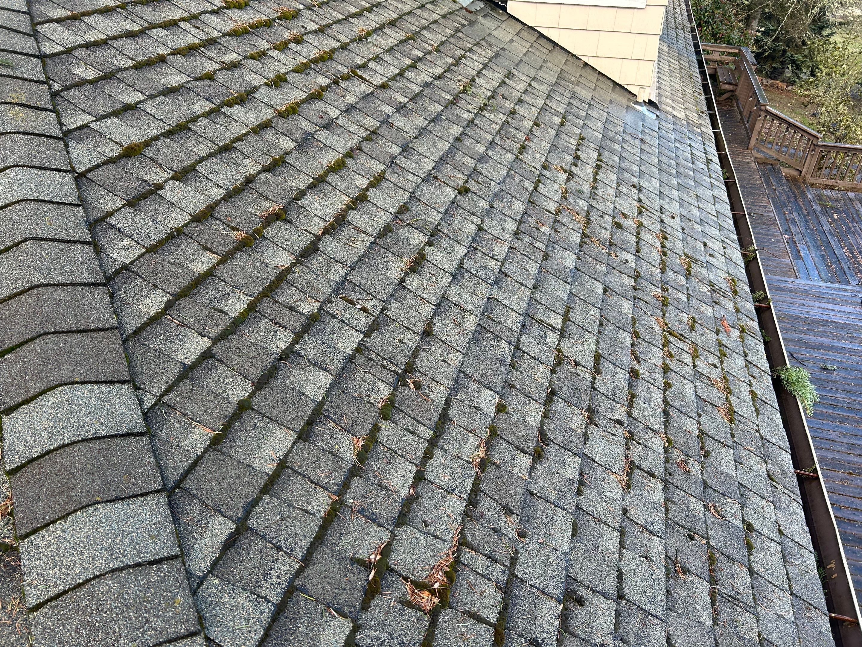 Roof Replacement in Hillsboro by Prodigy Roof Solutions