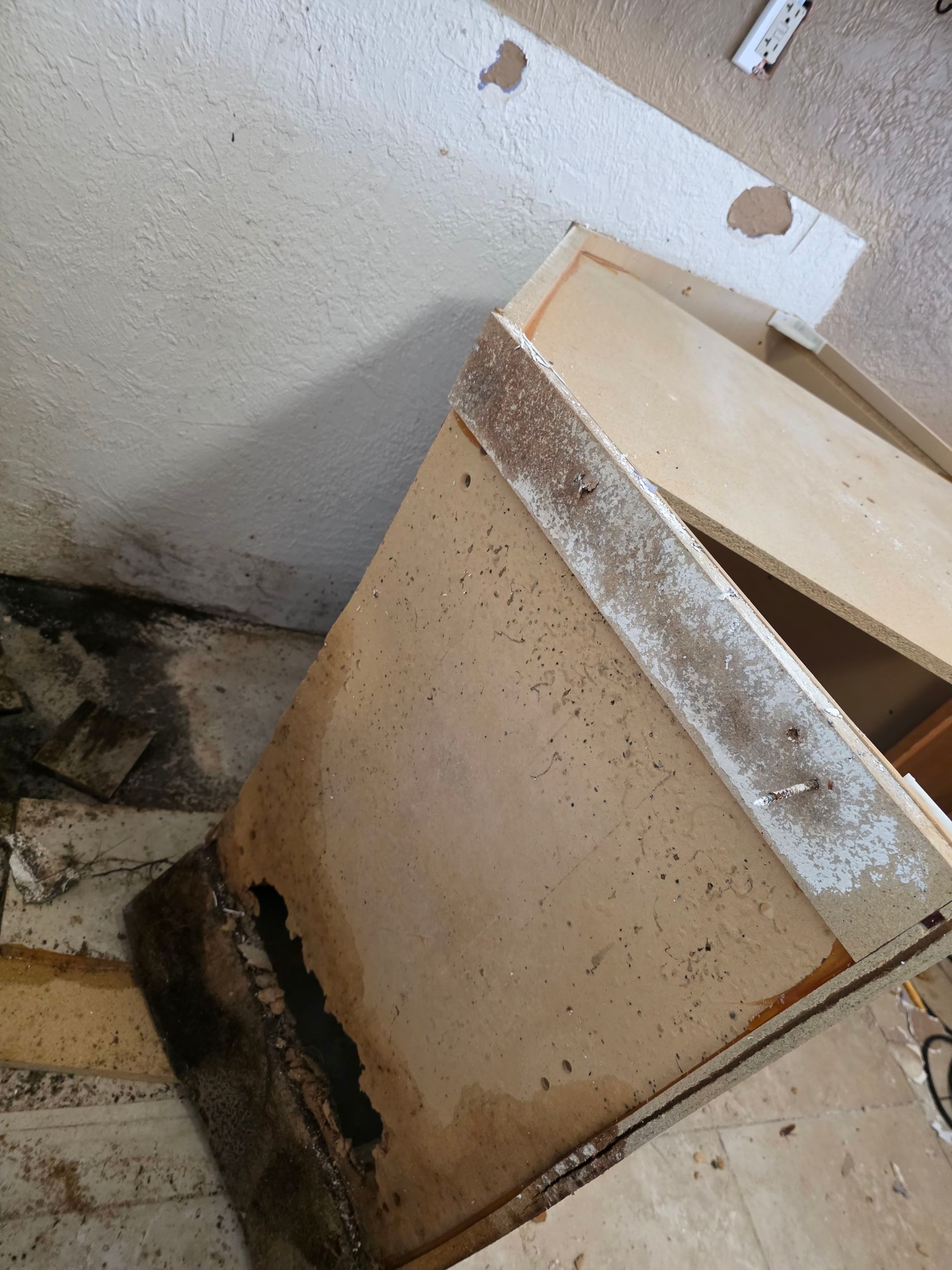 Project in St. Petersburg by Bay Coast Restoration 