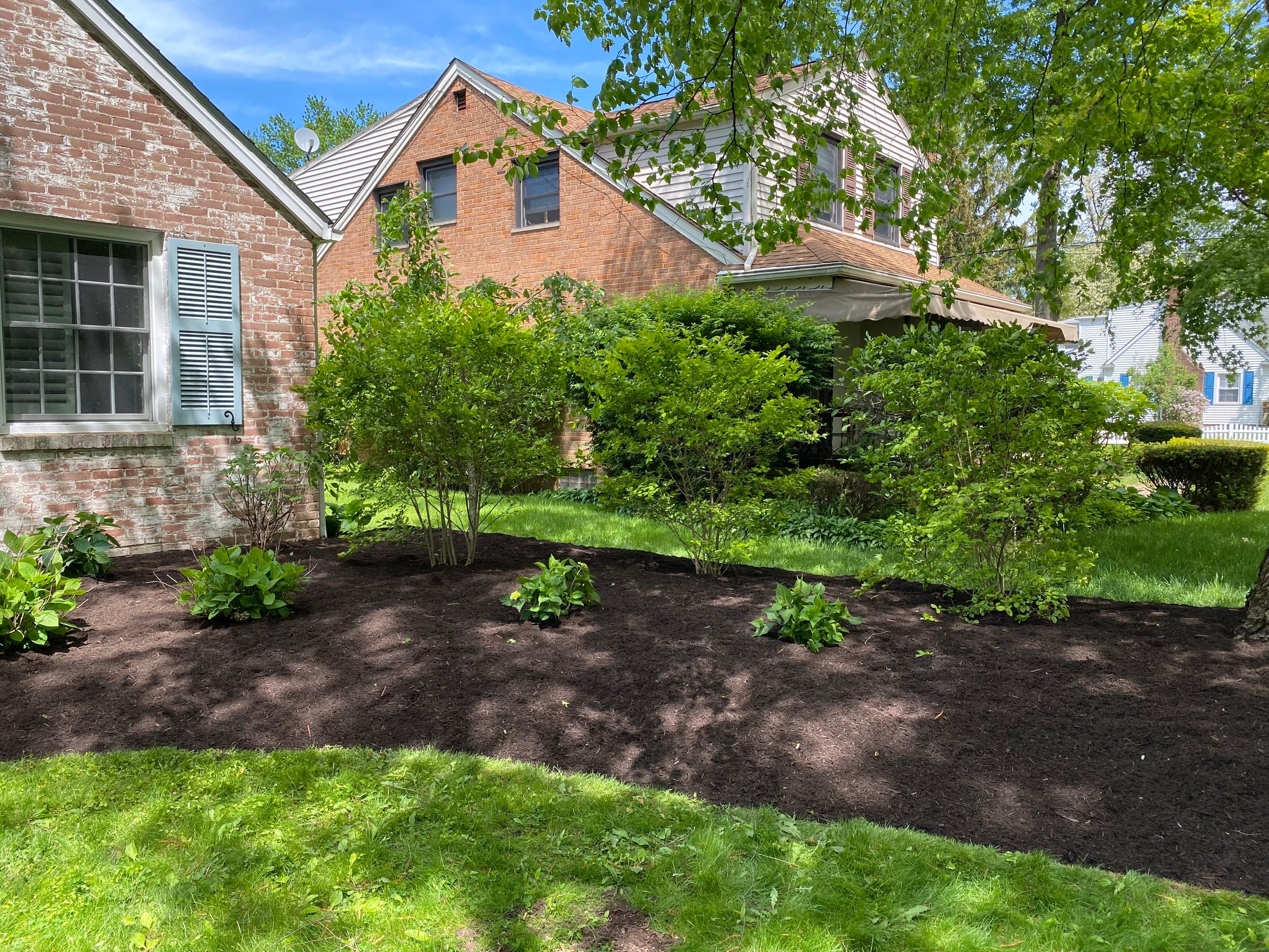 River Birch Maintenance by Elm Rose Gardens