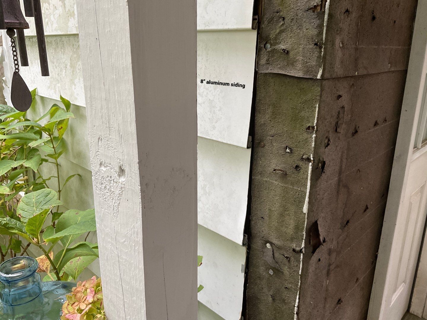 New Siding Installation  by Alpha Design Services