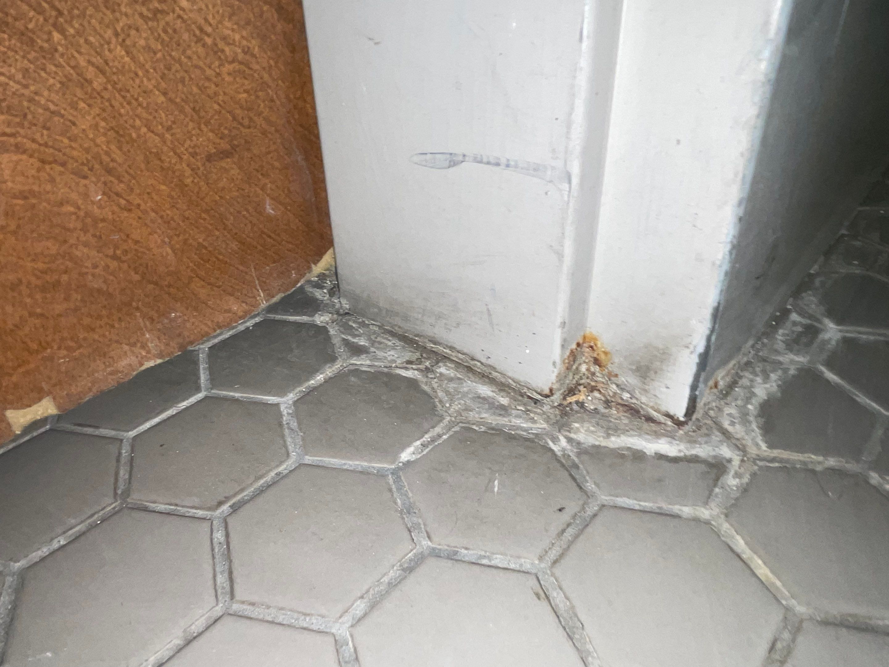 Water Damage Claim in Lakewood by FLAPA & KeyStone