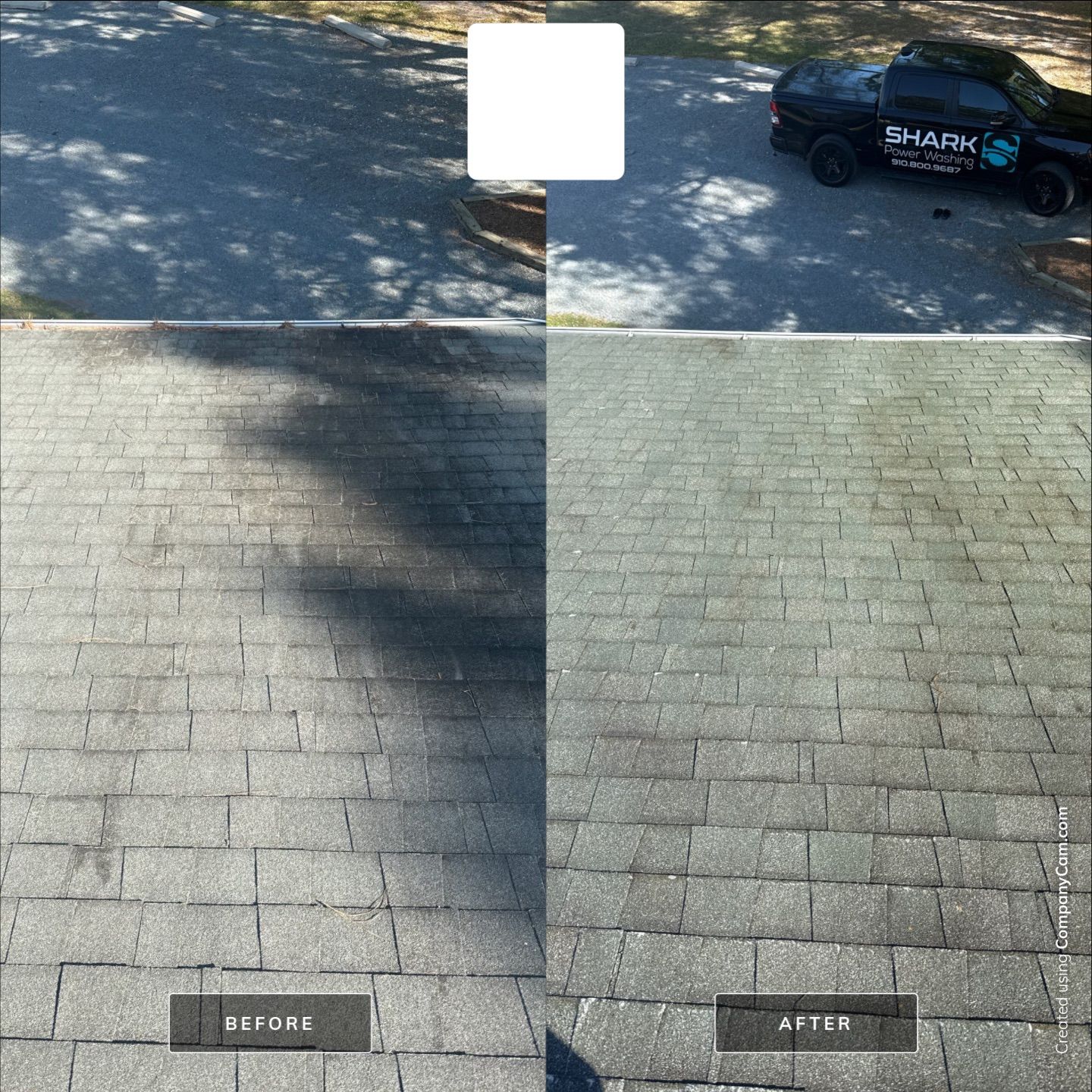 House Washing in Wilmington by Shark Power Washing