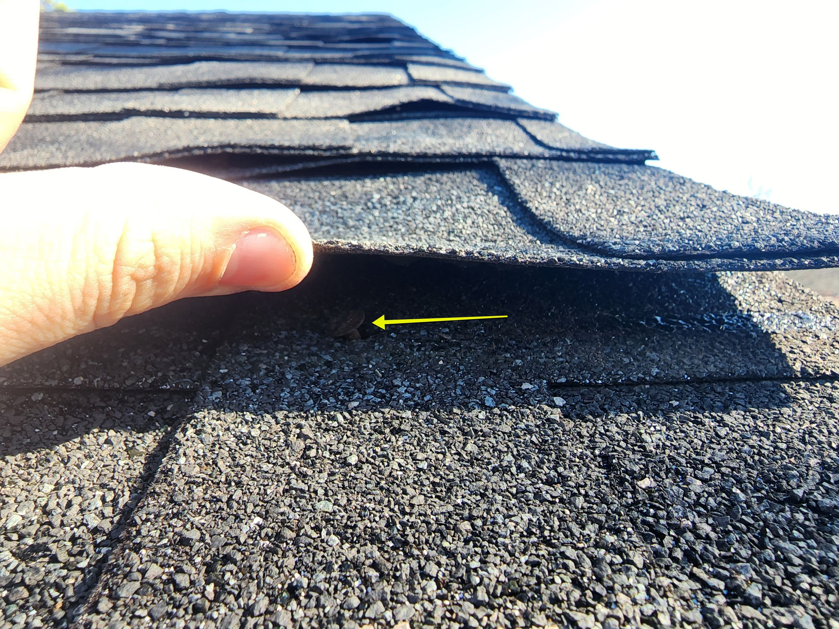 Residential Shingle Reroof using Malarkey Vista by Hostetler Roofing