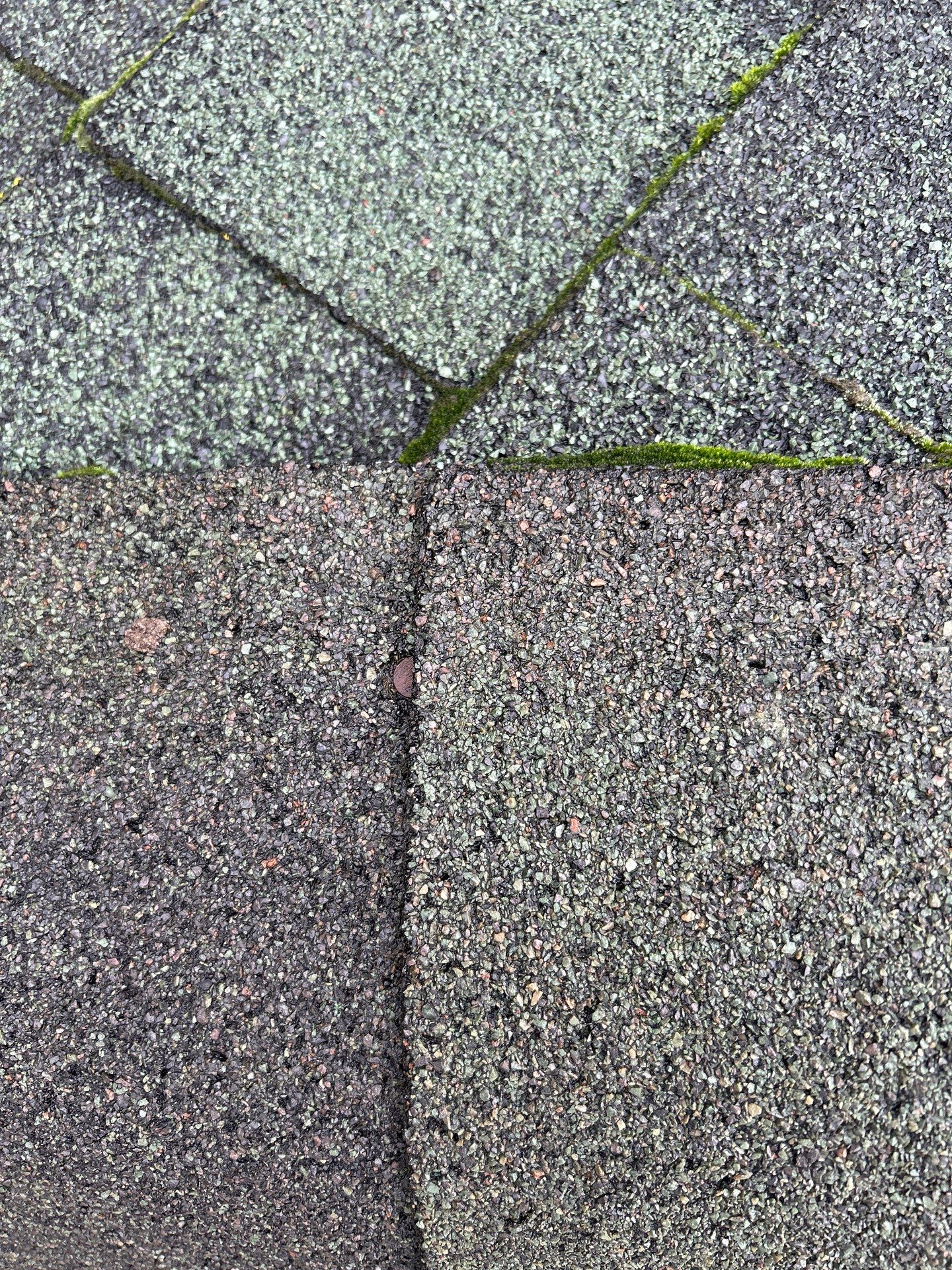 Project in Snohomish by Connolly Construction Company