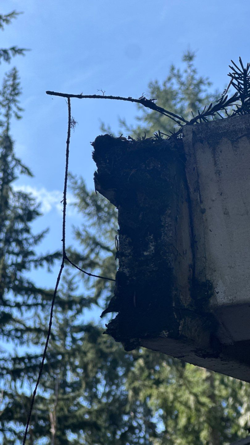 Project in Sammamish by Roofing Formula LLC