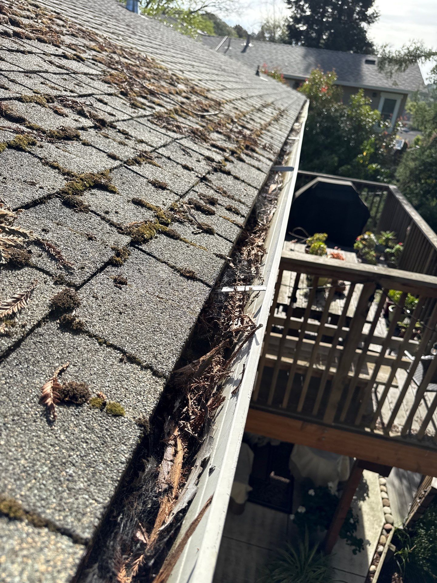 Soft Wash by Top Elevation