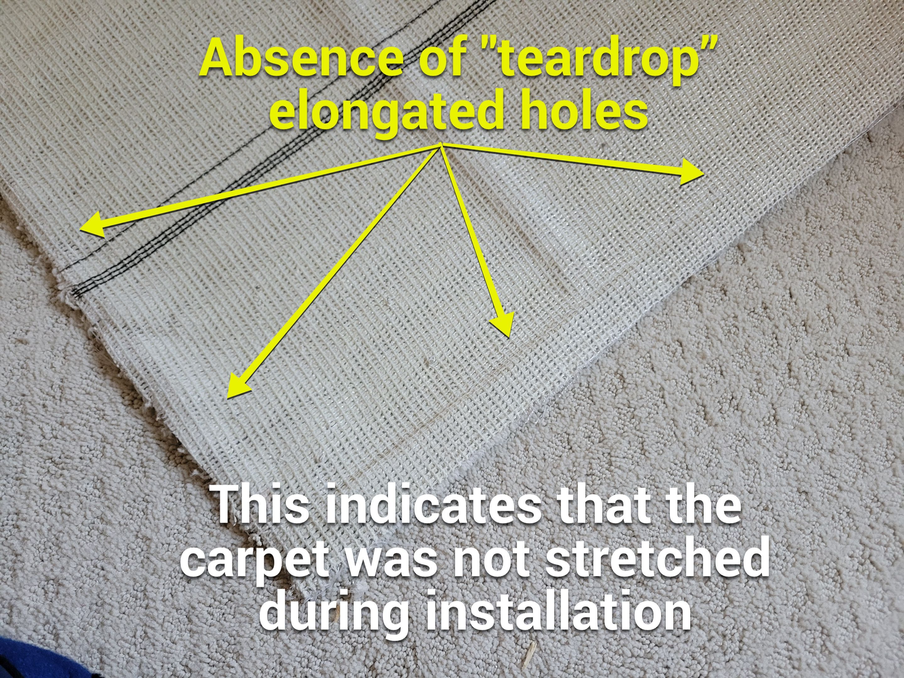Carpet Re-stretching and Stain Removal by Ardent Carpet Restore LLC