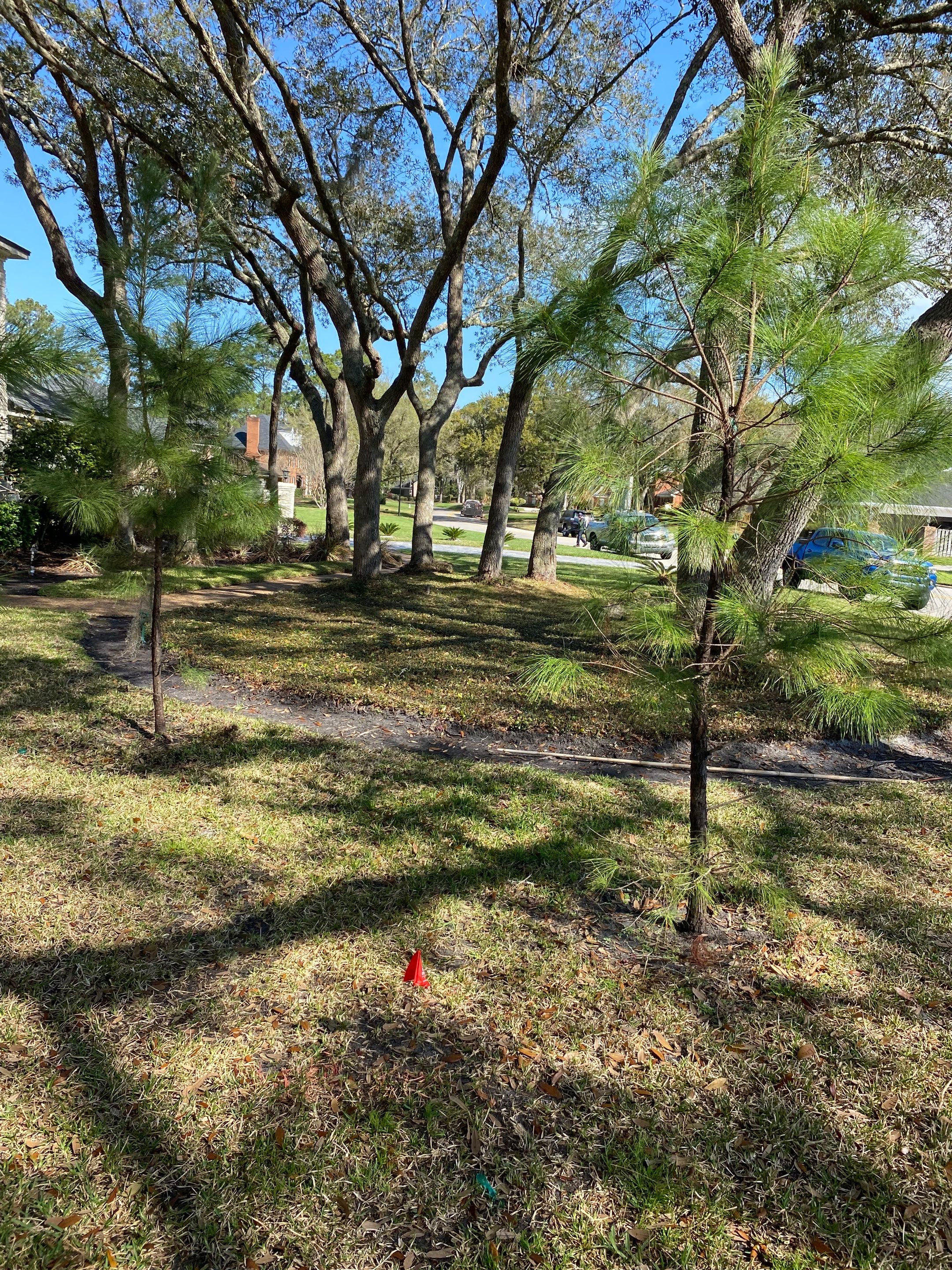 Deerwood Resident | Tree Service by ProGreen Services