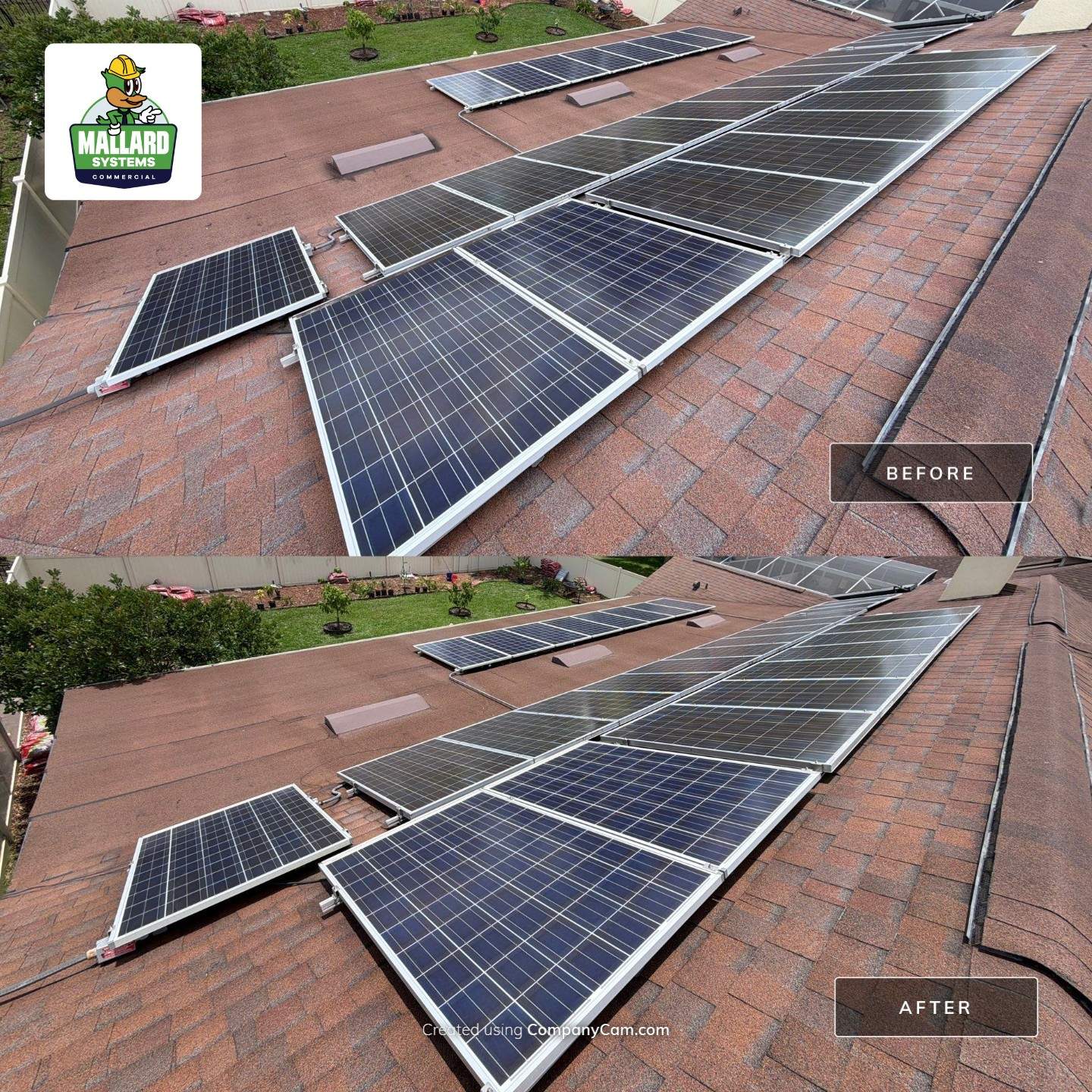  Shingle Roof Cleaning by Mallard Systems