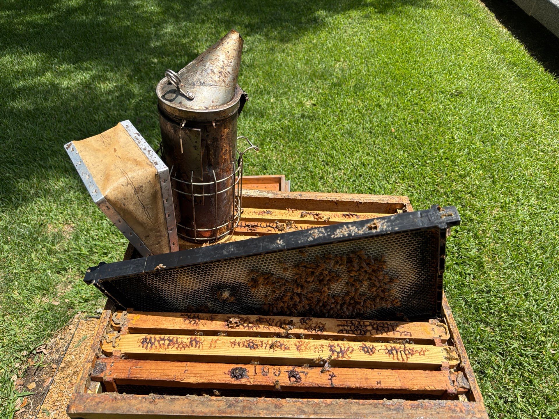 Addison by Rockwall Honey Bee Company