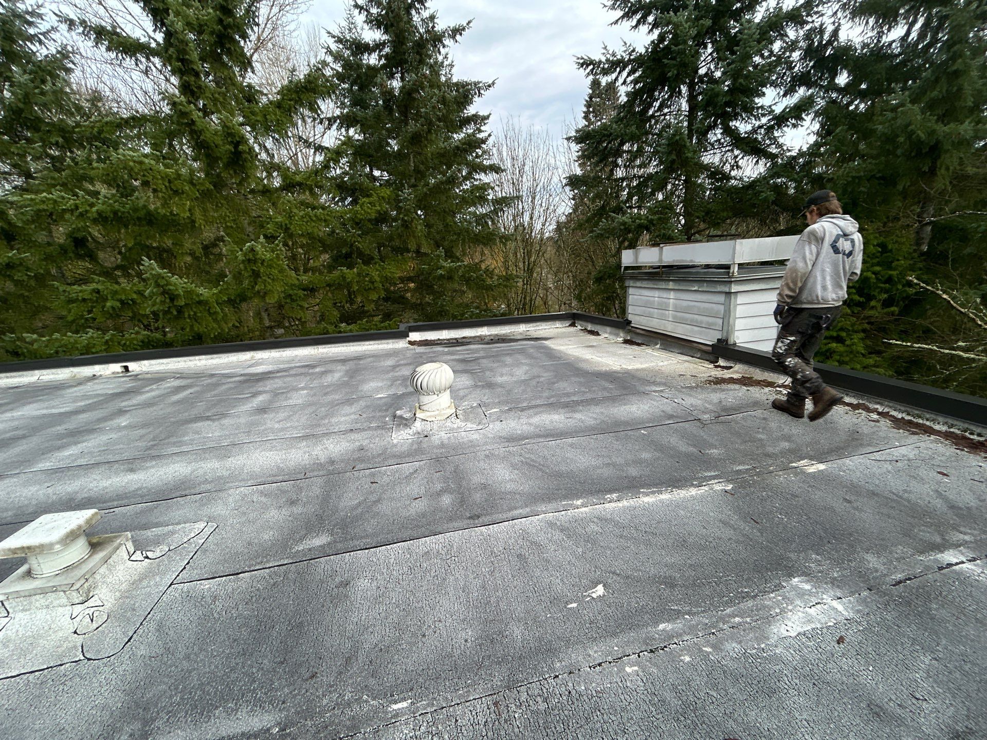 Project in Kirkland by Peaks and Valleys Construction