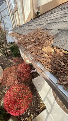 Turtle Shell gutter protection installation in Naperville, IL 60565, photograph 6
