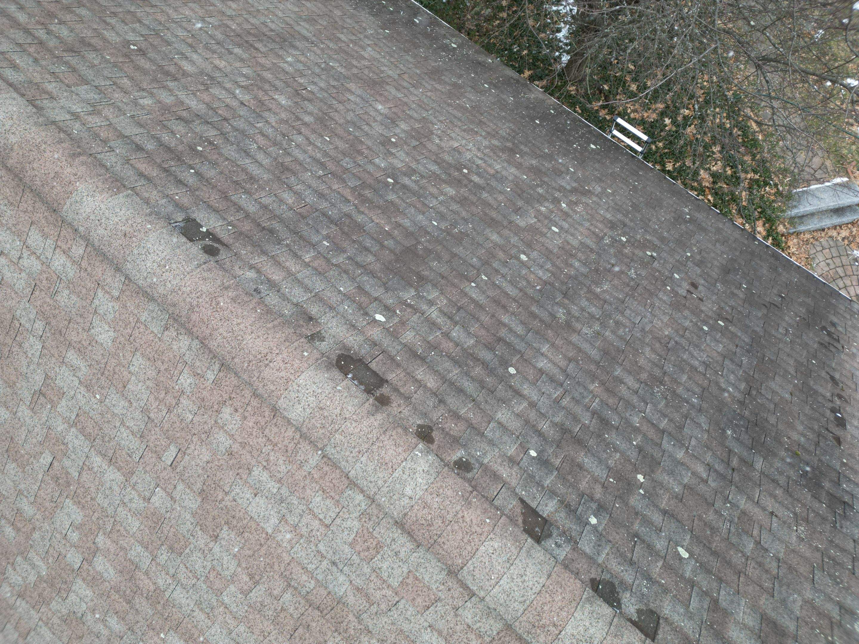 Realtor consult by Mighty Dog Roofing of Greater Middlesex County