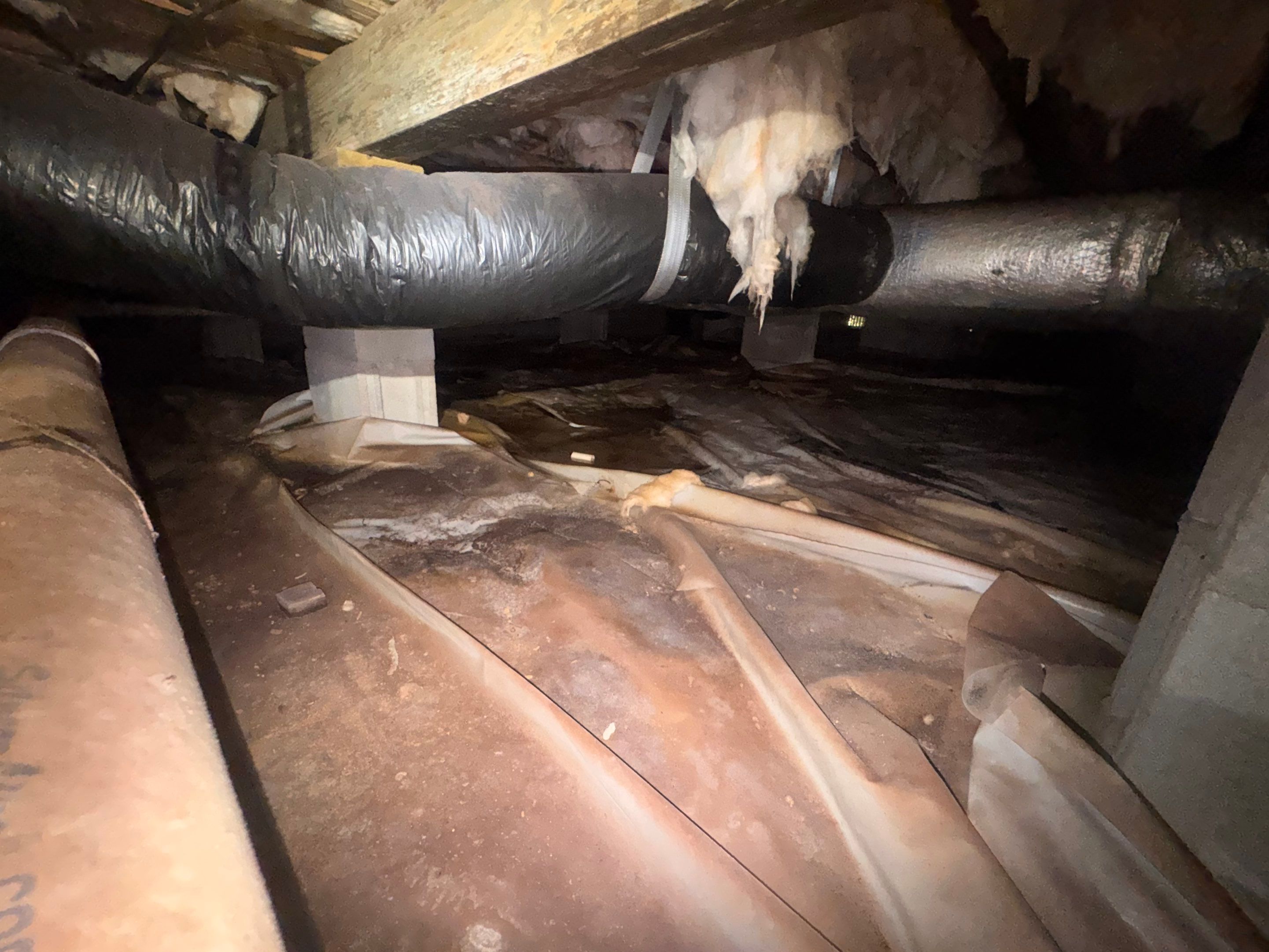 Moisture Barrier, Mold Clean, Structural Repair, Dehumidifier, R19 Insulation. by Impact Crawlspace