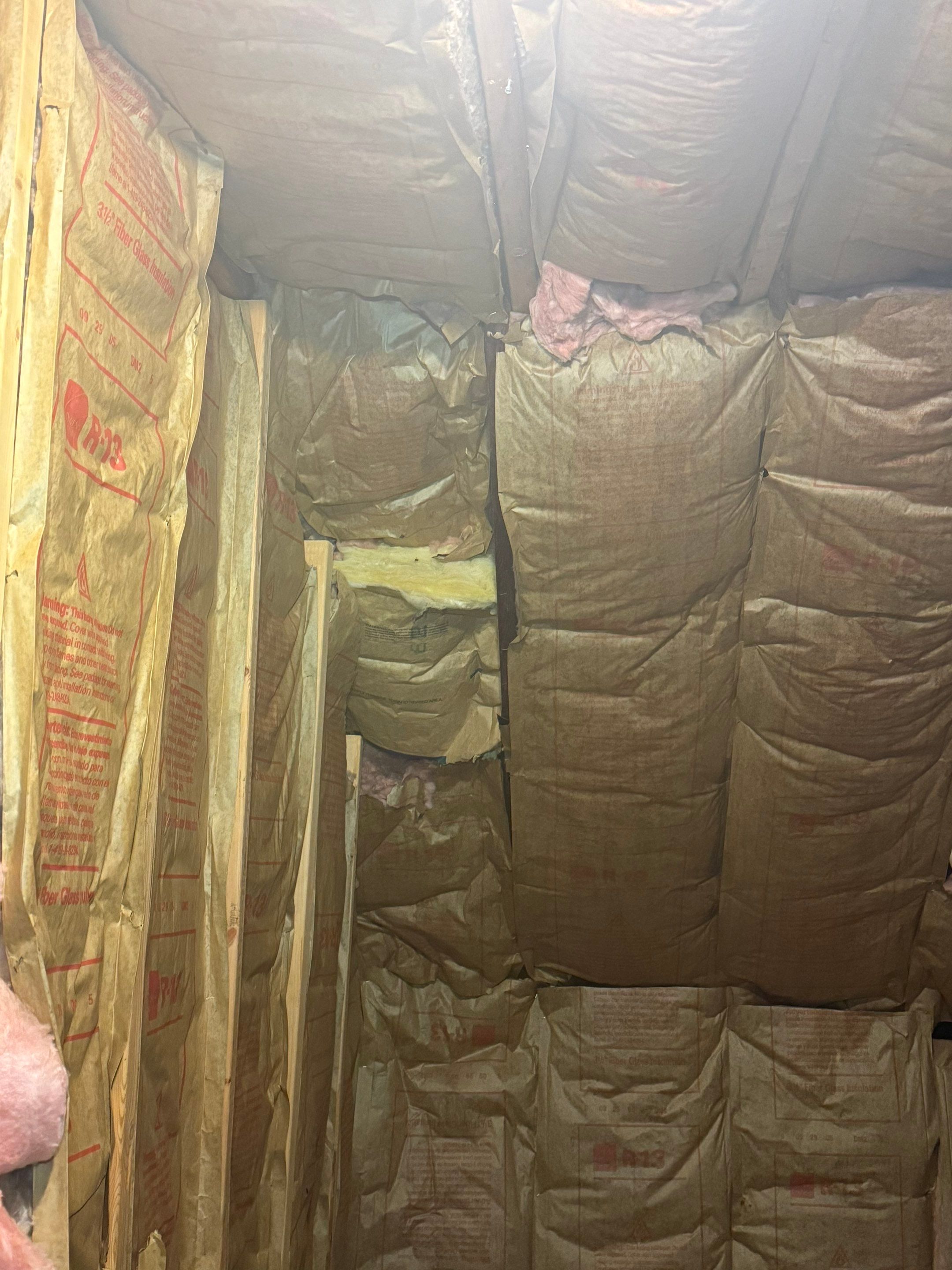 Bathroom Mold Remediation by Home Guarantee, LLC