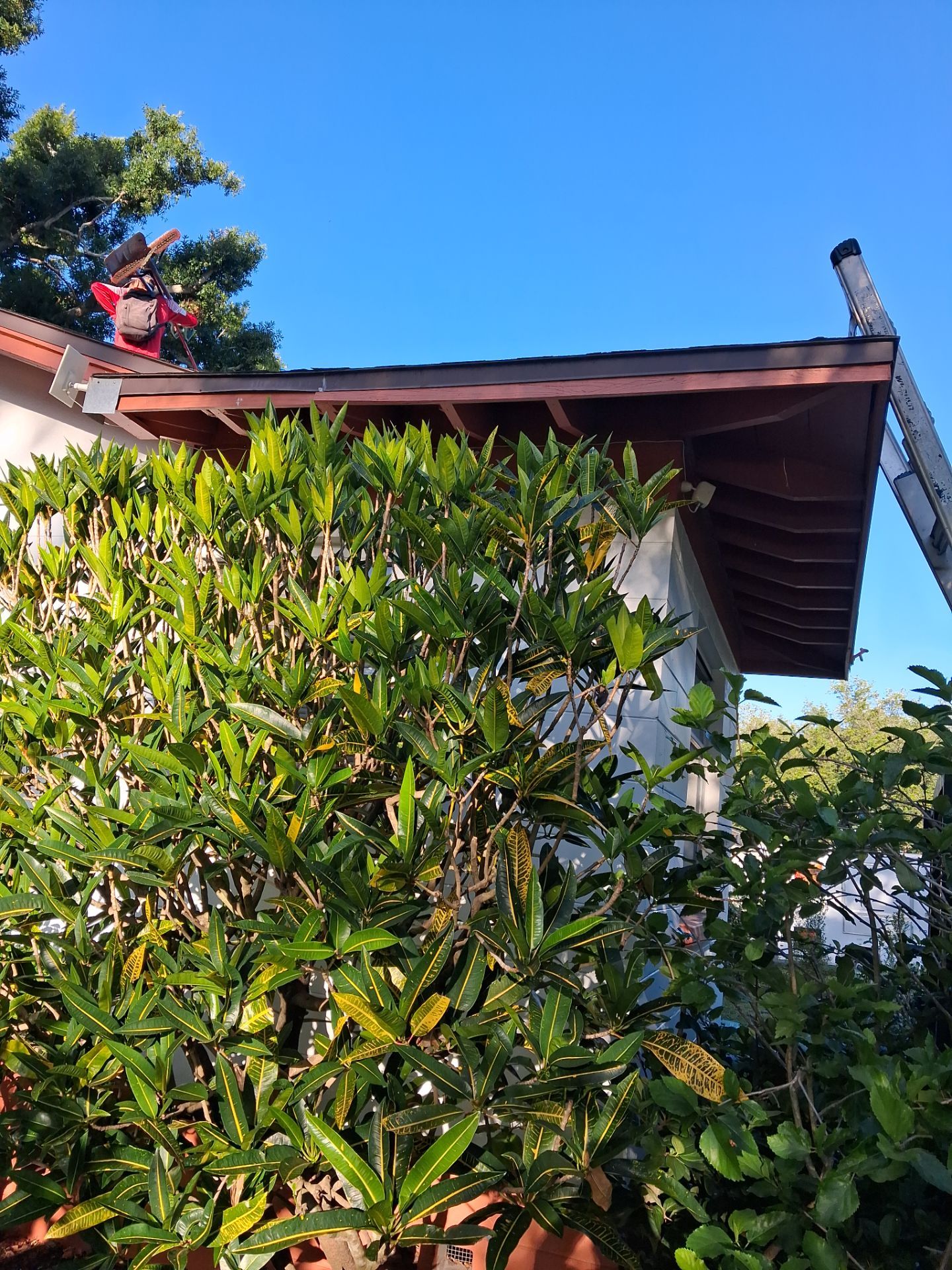 Project in St. Petersburg 33709 by Mitchell Roofing Company LLC 
