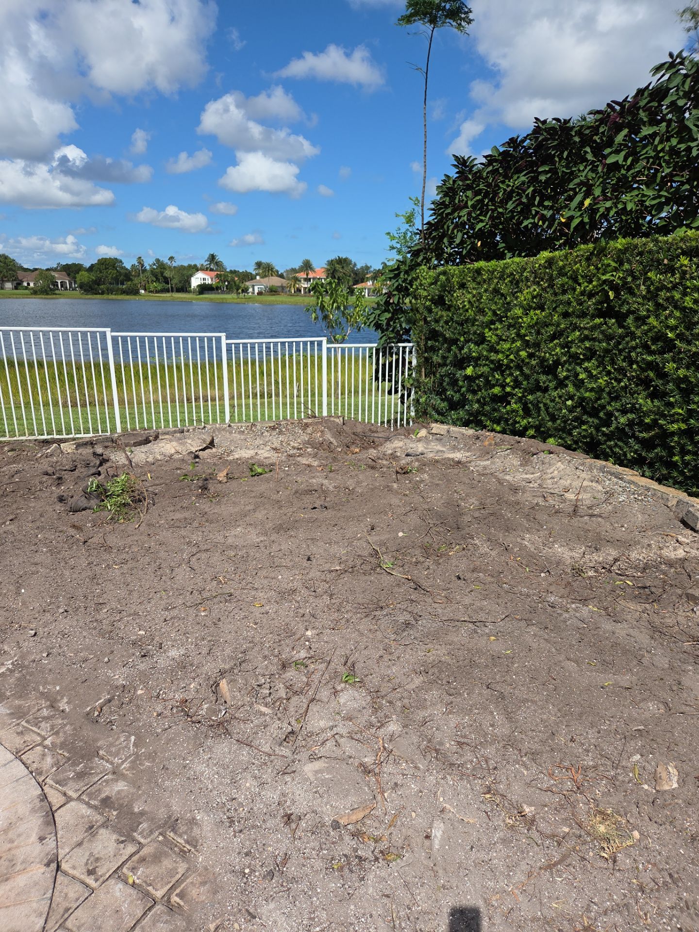 Hammock Creek Estate | Phase 1 – The Art of Precision Removal by Alpha Zeta Enterprises Inc