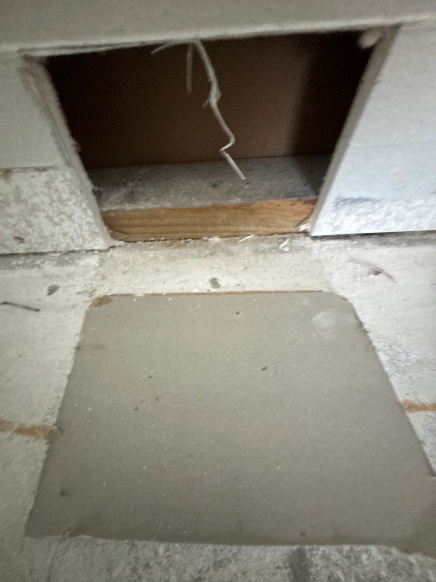 Stansell - water and mold photos  by THE RAPID TEAM