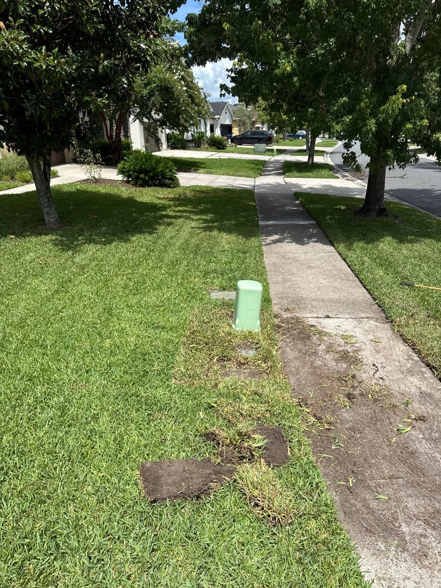 Residential | Sod Installation by ProGreen Services