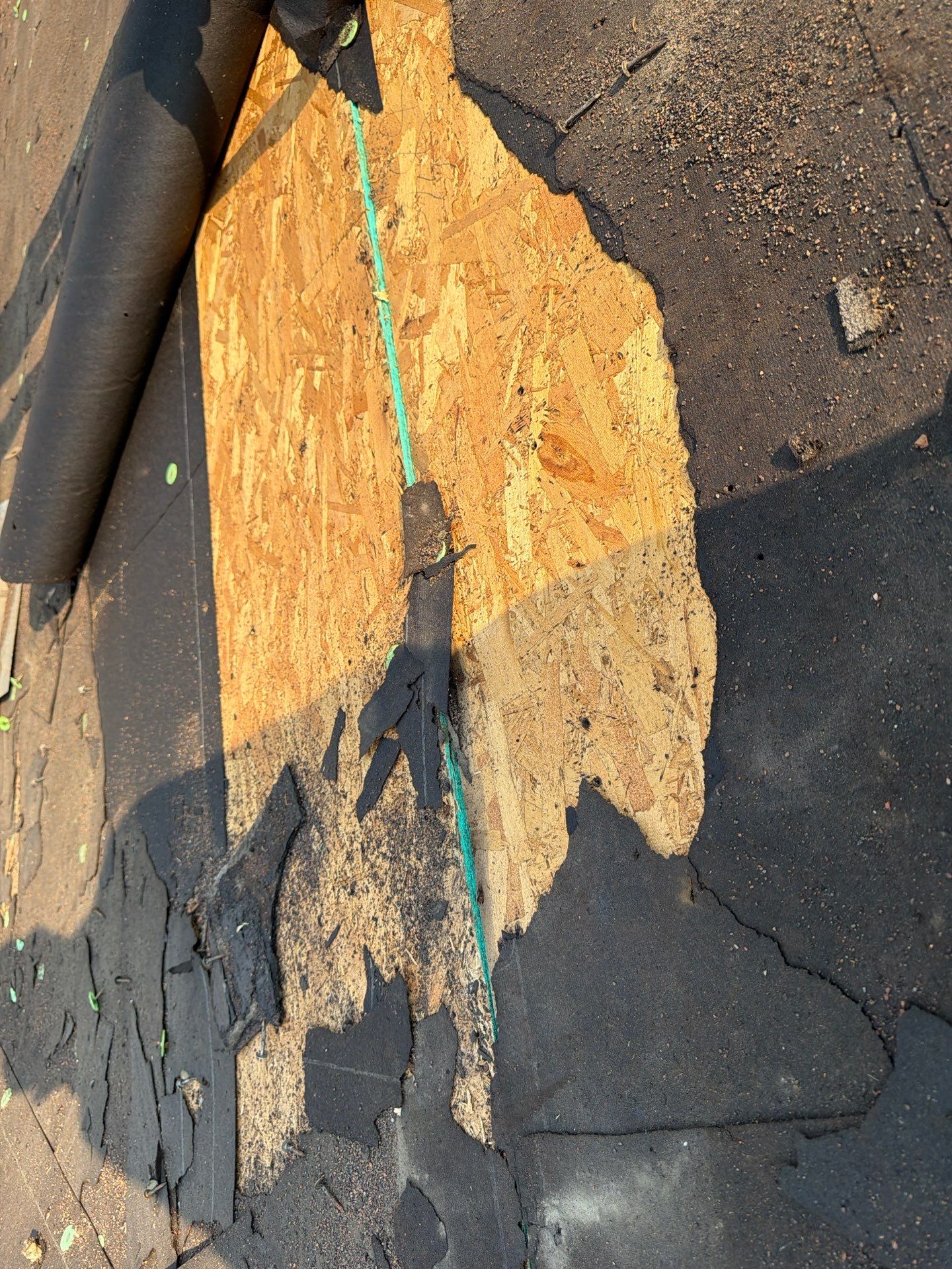 Boise Commercial Roof Replacement with Brown Architectural Shingles by Olive Roofing