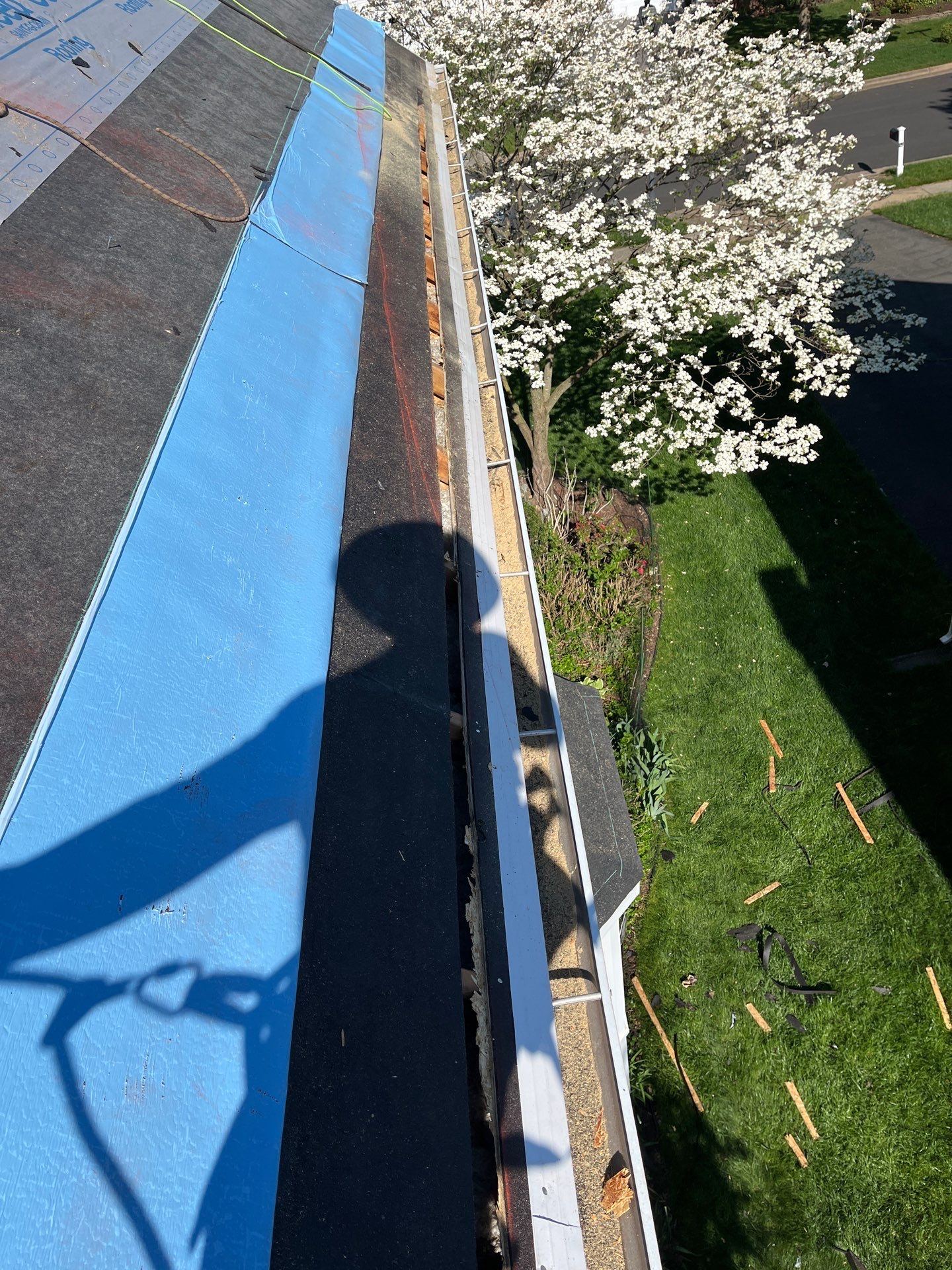 Vienna: CertainTeed Landmark Pro Designer Shingles in Max Def Moire Black by RM Banning, Inc.