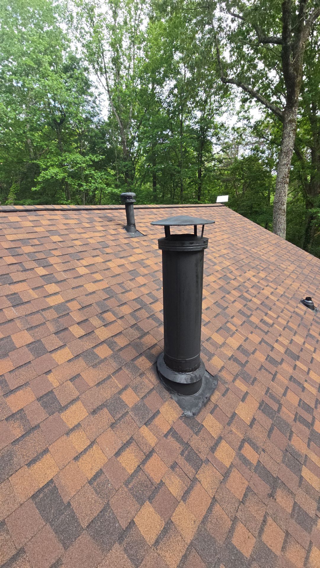 Jasper, GA Roof Replacement CertainTeed Landmark Pro Burnt Sienna by Reset Roofing
