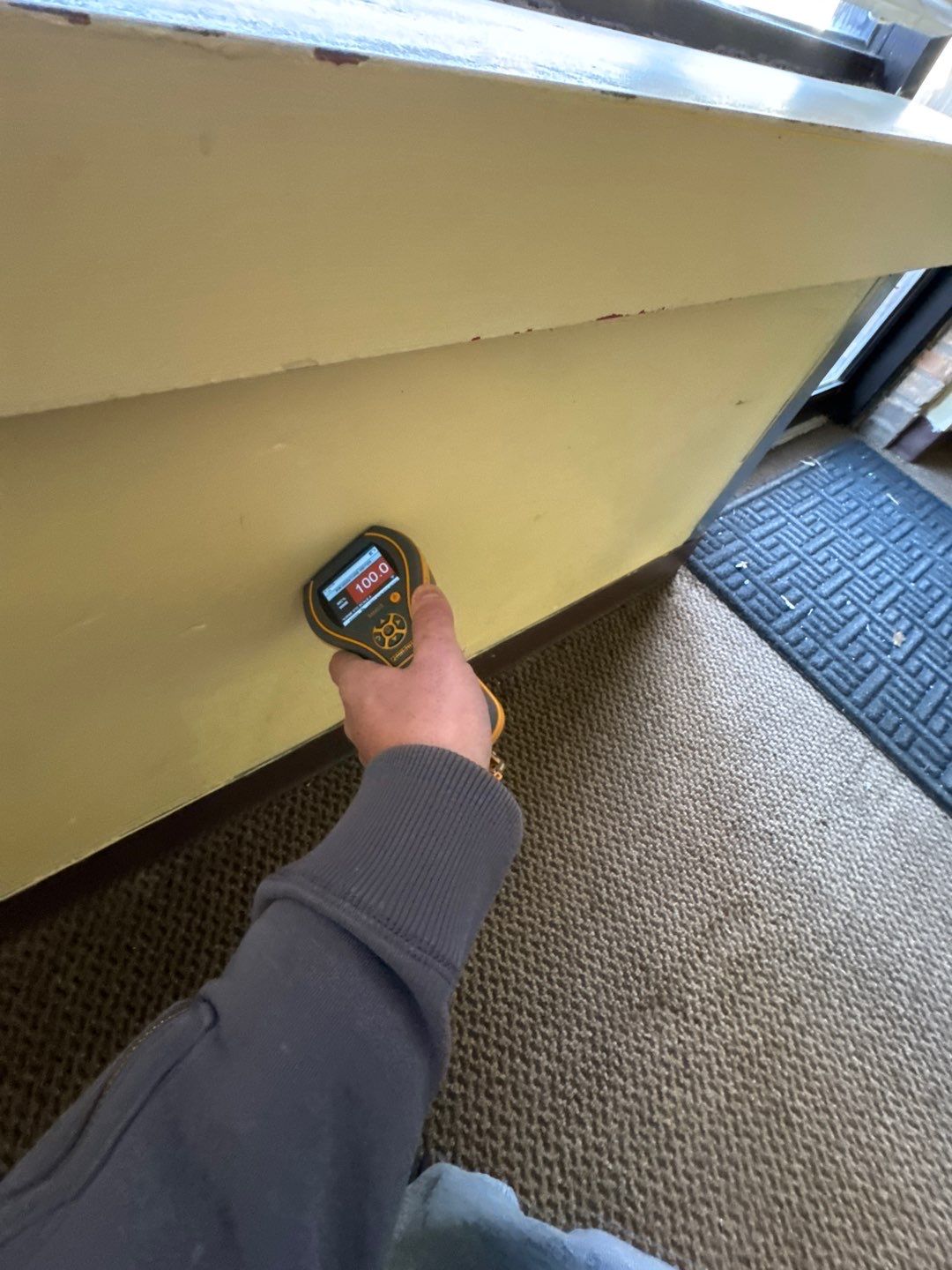 Project in Commerce Twp by EzDry Water Mitigation & Property Restoration