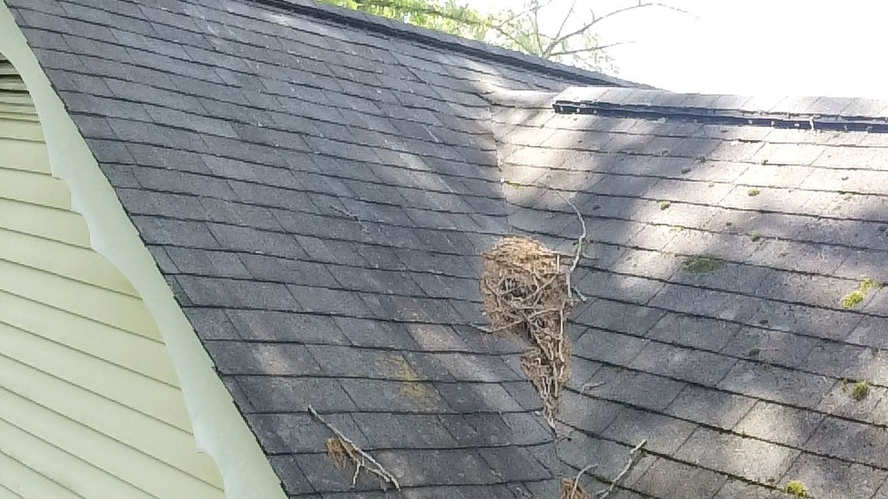 Project in Chester by Roof Maxx of Midlothian