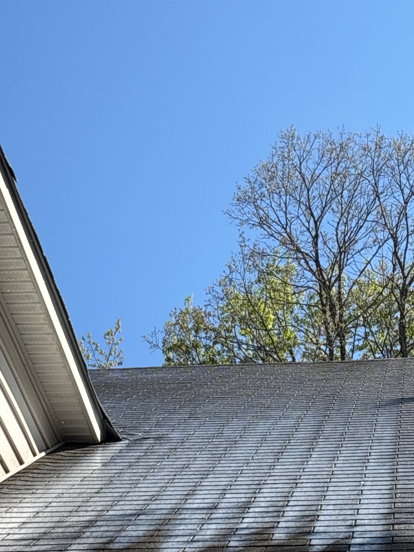 Project in Mechanicsville by Roof Maxx of Midlothian