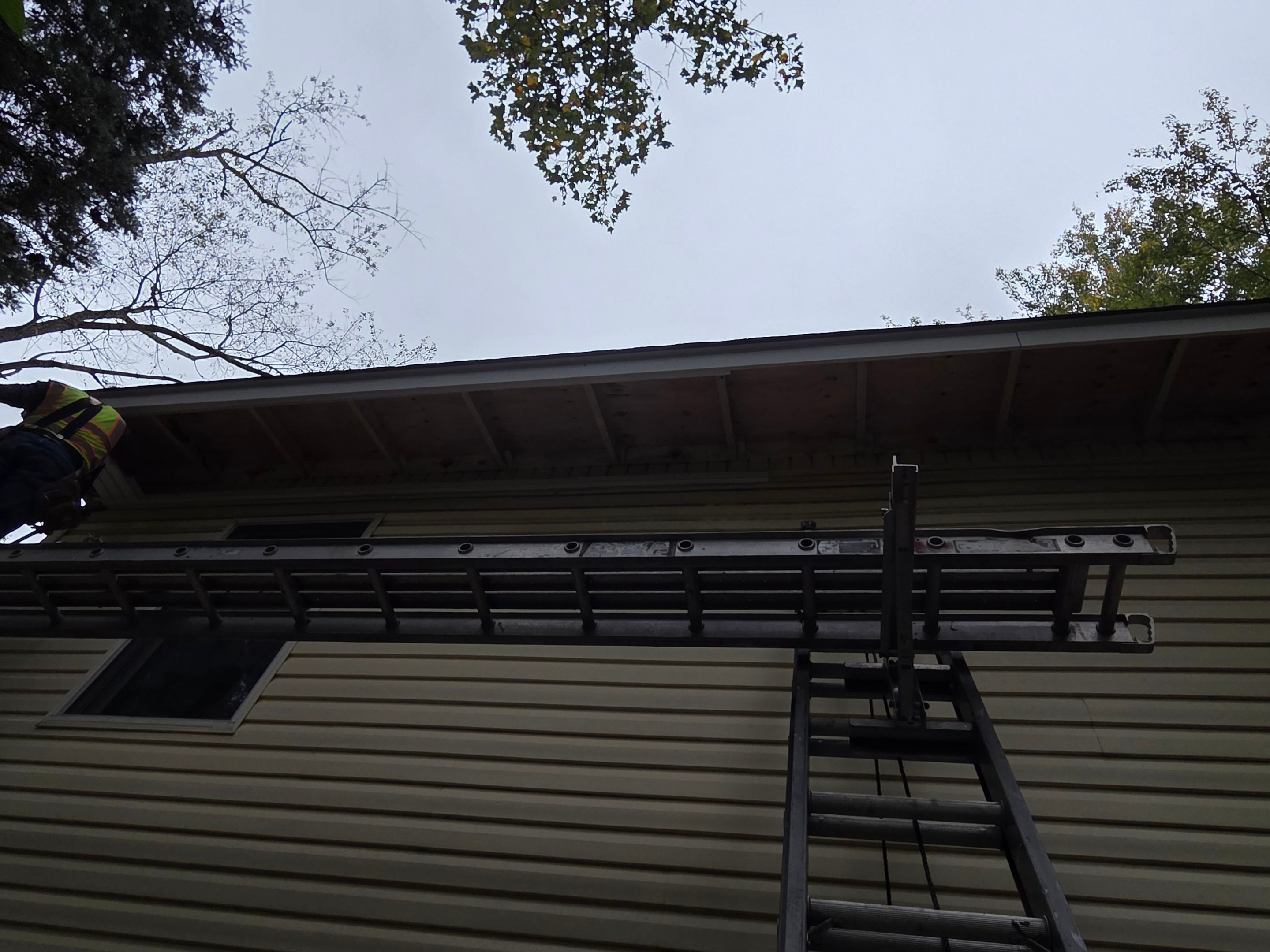 Burke : Residential Roof Replacement with CertainTeed Landmark Pro in Max Def Charcoal Black  by RM Banning, Inc.