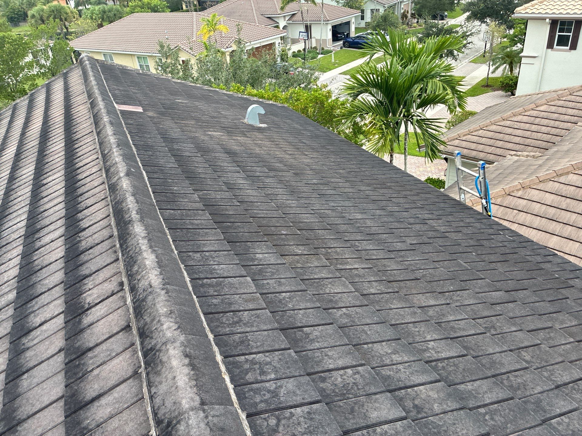 Heron Bay Parkland Painting by BKB Pressure Cleaning LLC