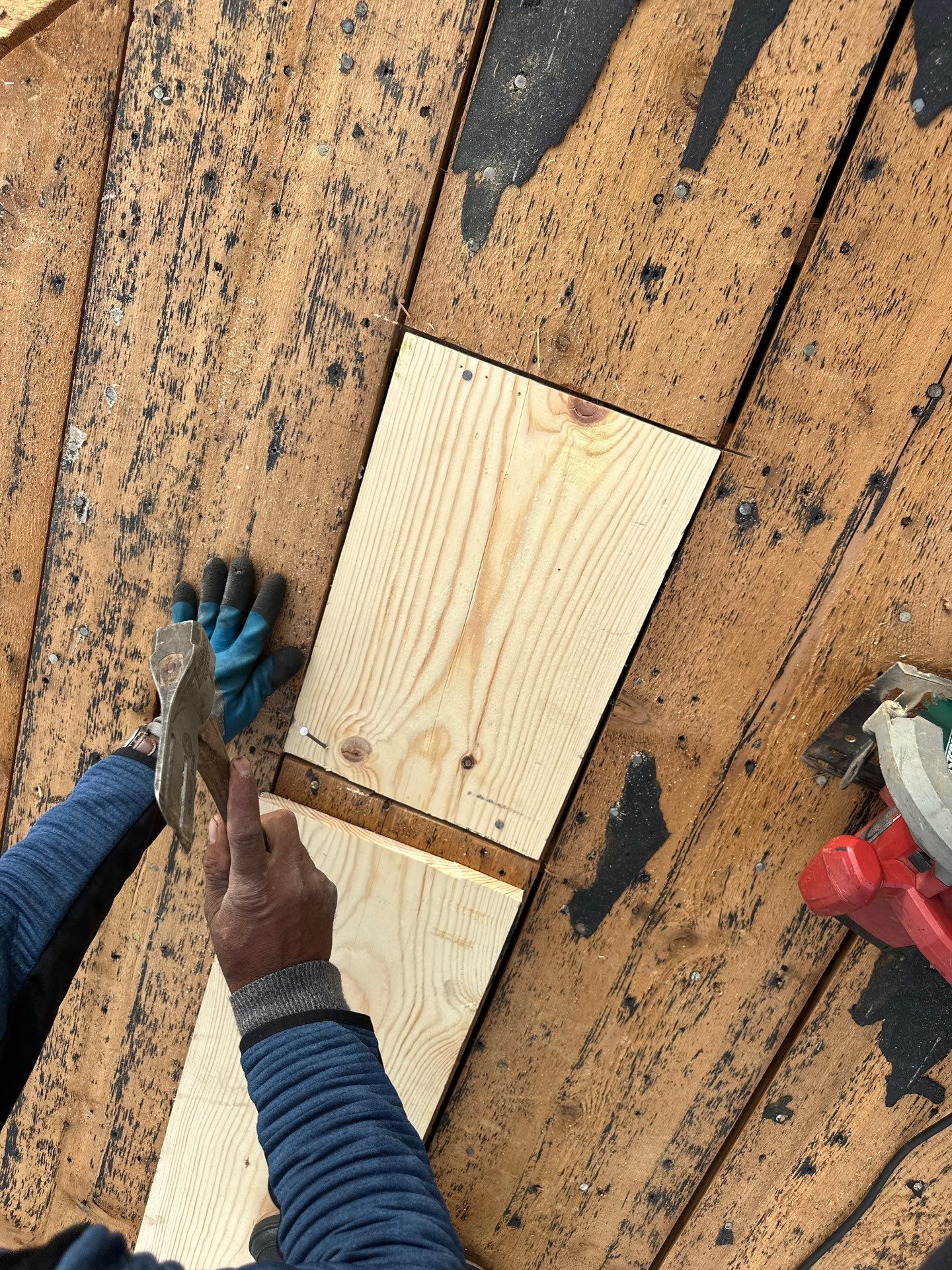 Residential Roofing Install - Atlas Pinnacle Pristine Shingles - Color Oyster Shell  by Titan Commercial & Residential Roofing 