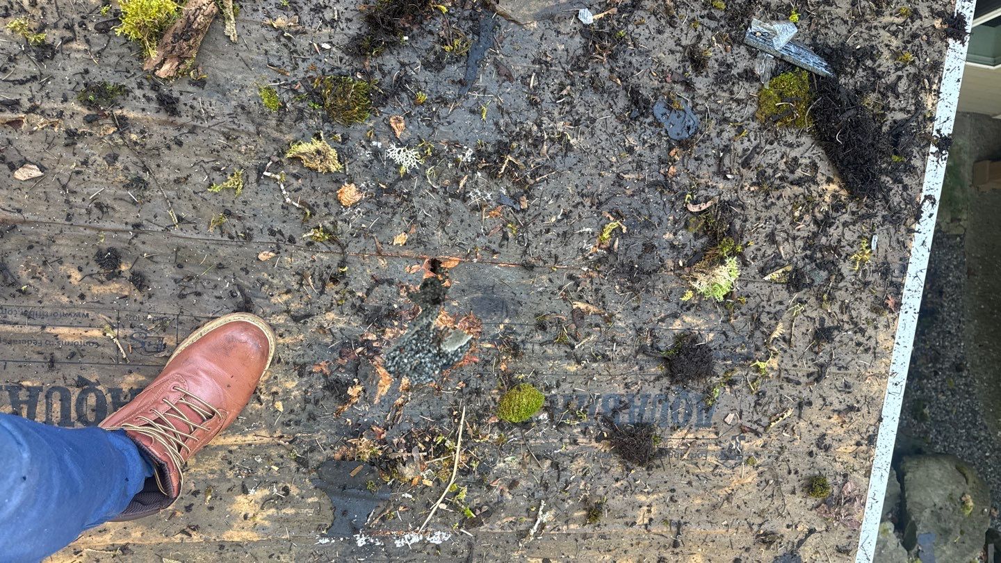 Project in Sammamish by Roofing Formula LLC