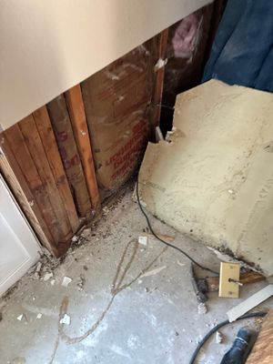 Black Mold Removal — Fort Myers, FL